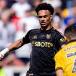 Fulham lakukan perombakan jelang musim baru Premier League